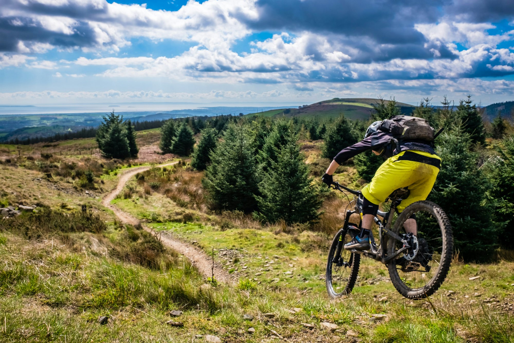 A mountain biker descends a single track trail into trees