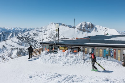 News Flash: Week of March 1, 2023