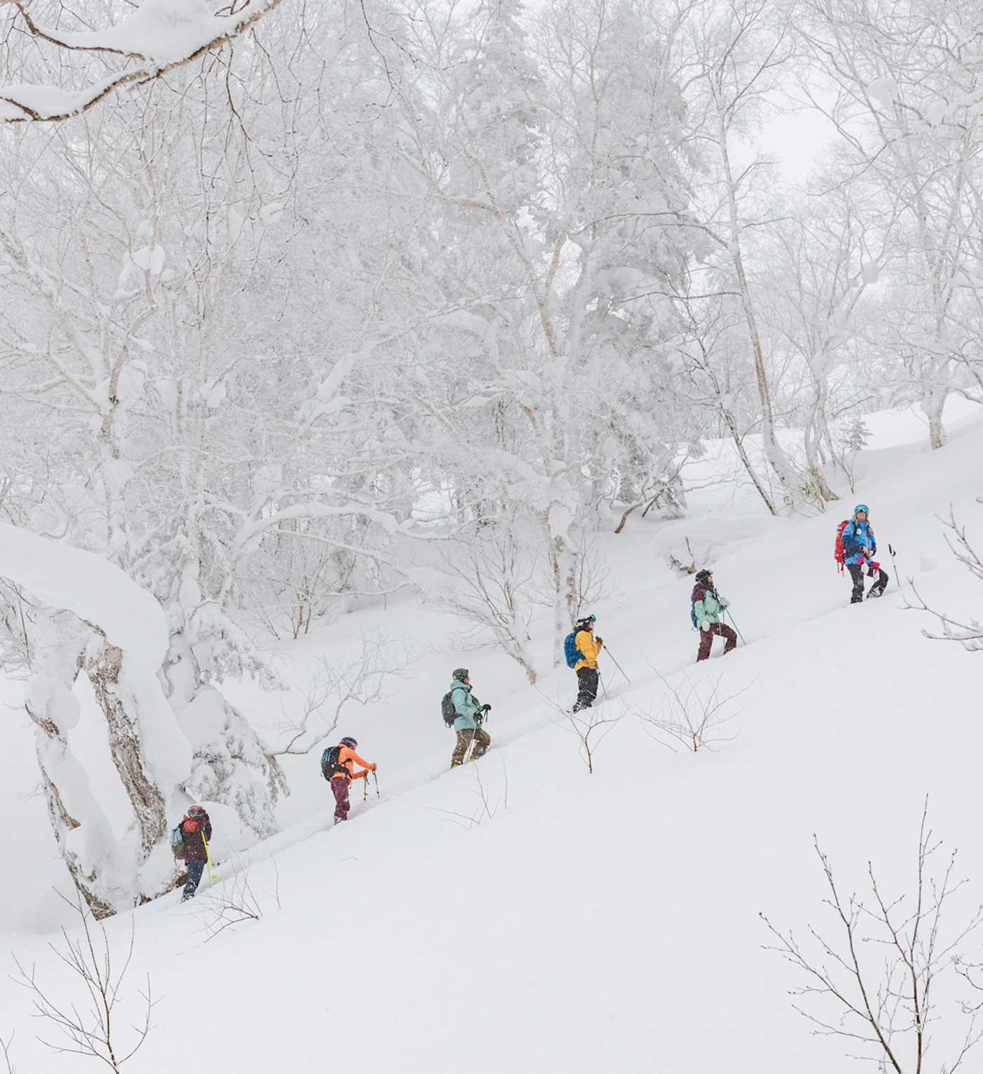 Group of 6 skiers skinning up a slope