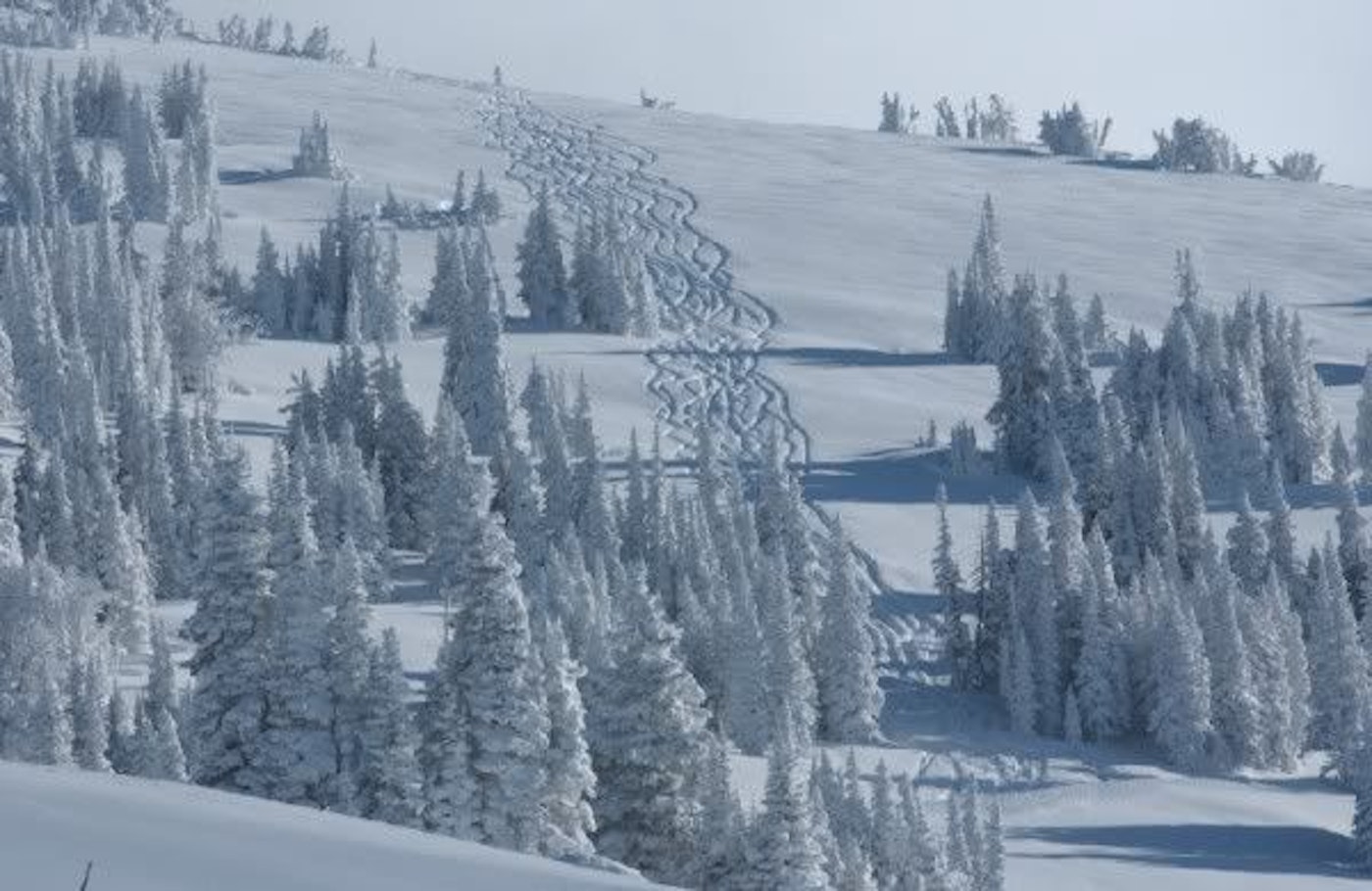Snowcat Powder Grand Targhee