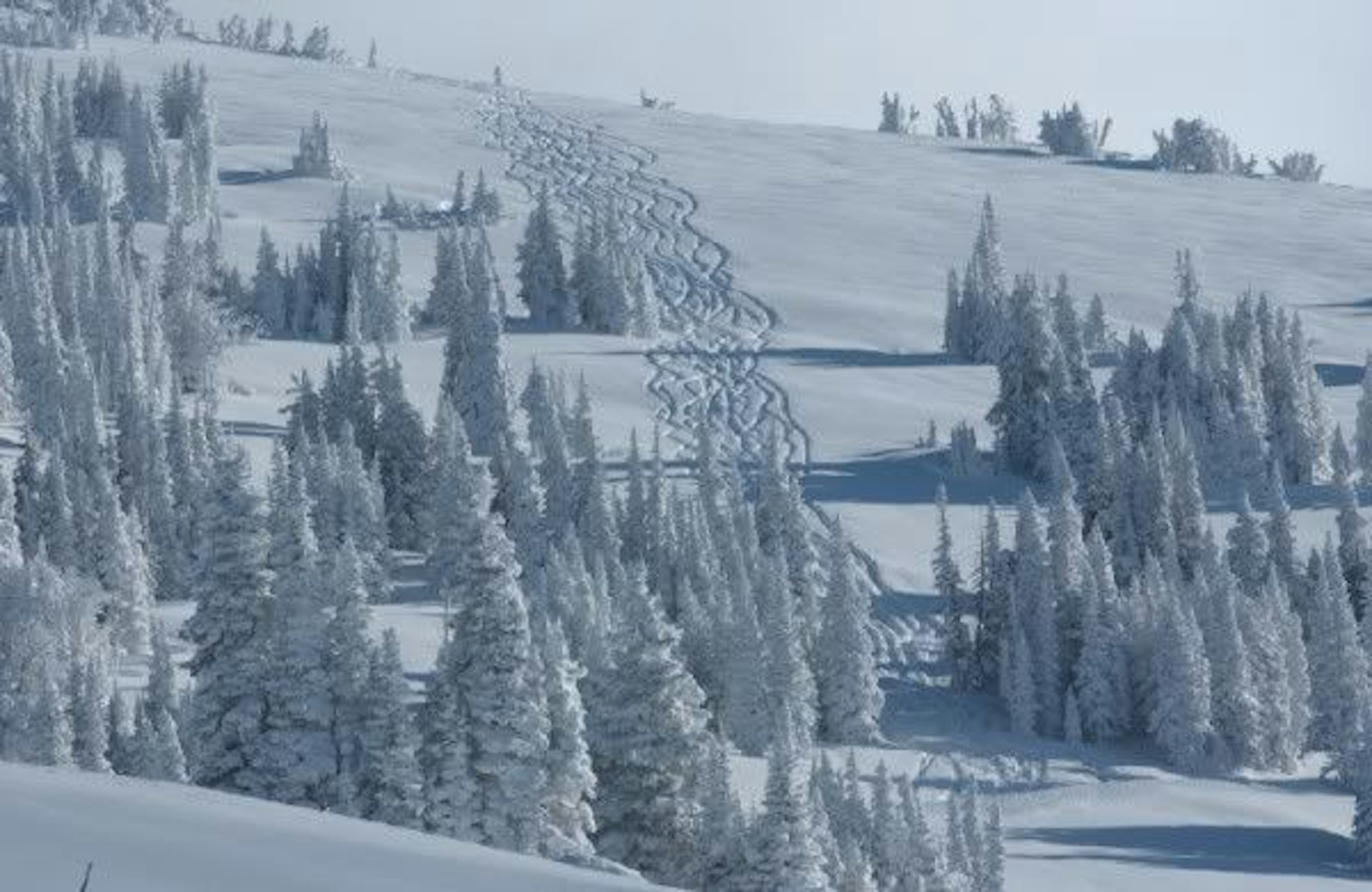Snowcat Powder Grand Targhee