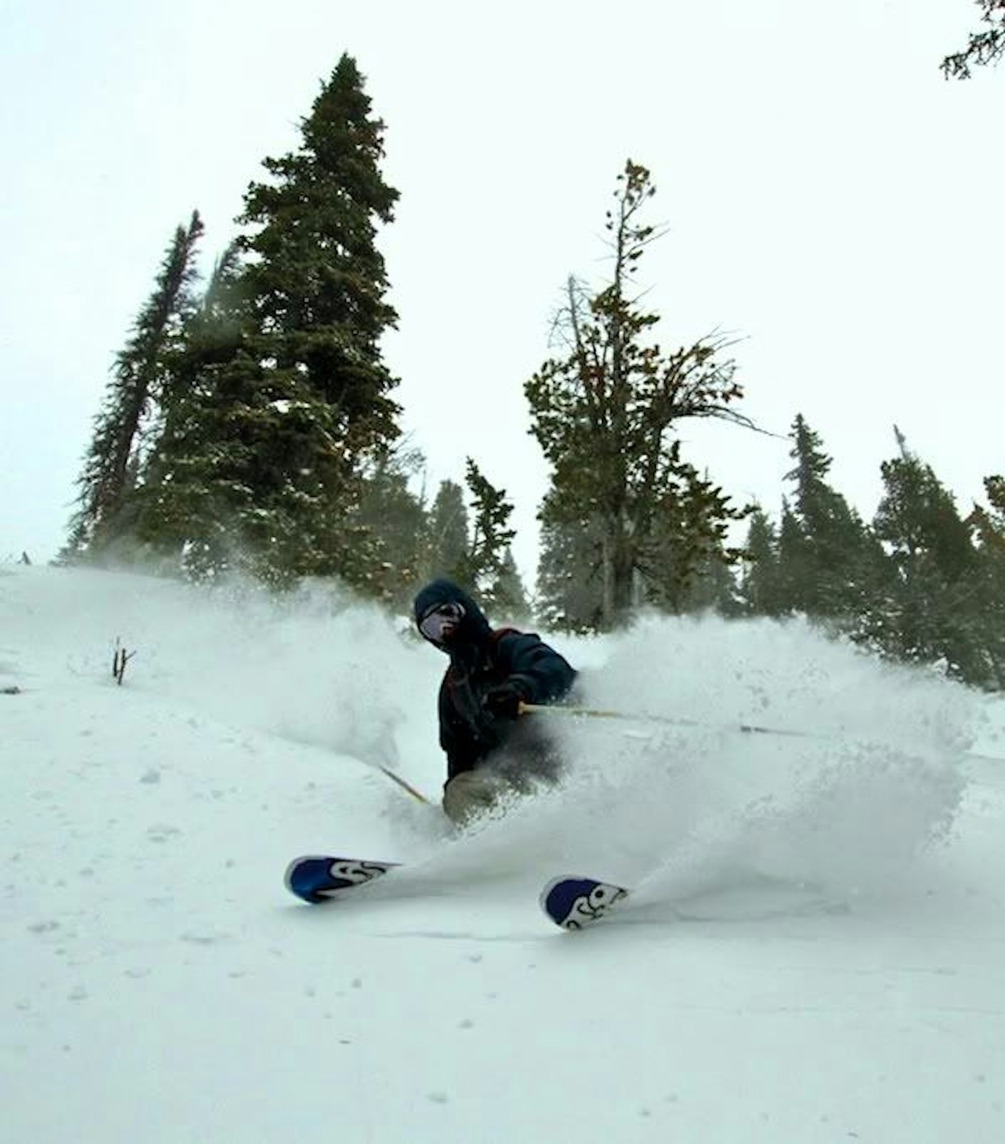 TGR Editor -Blake Campbell natural