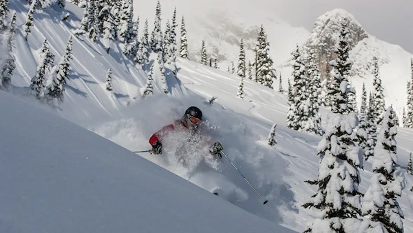 The Whole Kit and Kootboodle