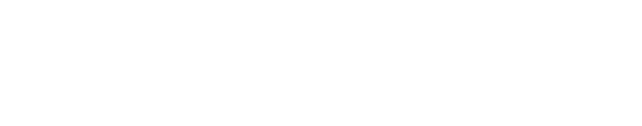 FREESKIER