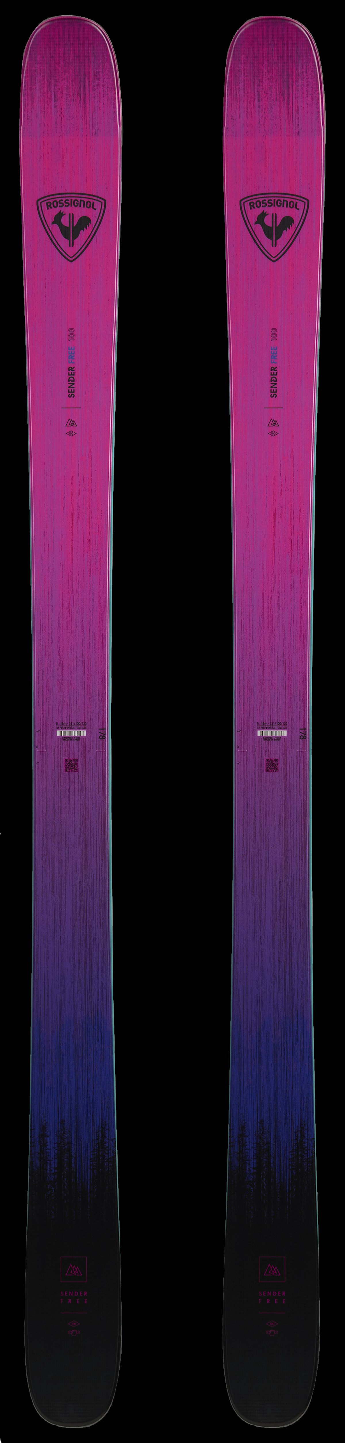 Sender Free 100 | 2026 | Gear Review | FREESKIER