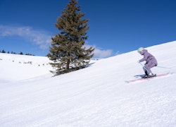 The Best Women's Big Mountain Skis of 2026