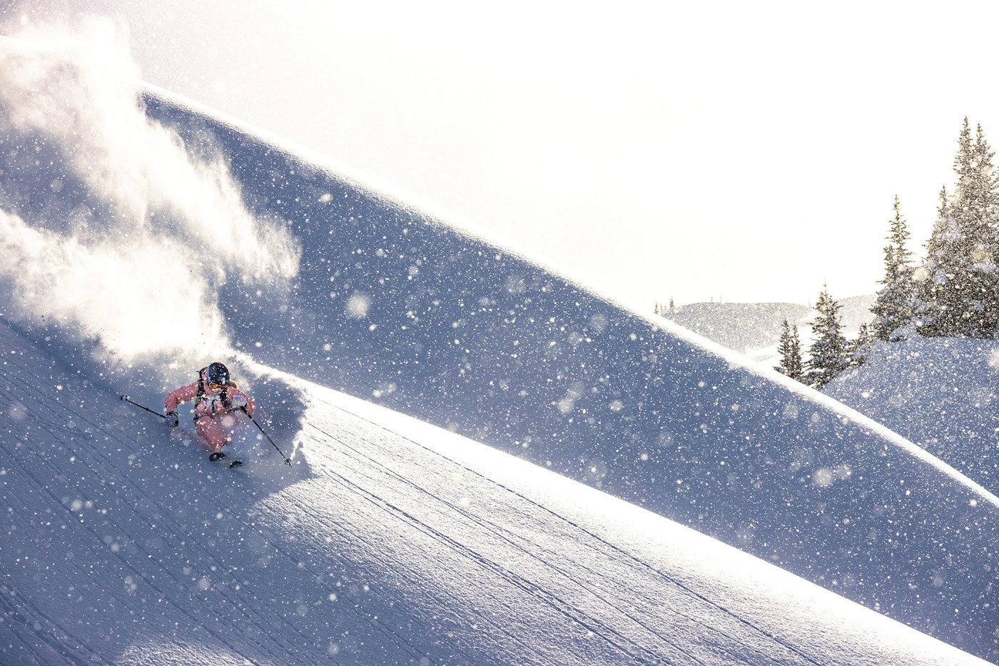 skier in Birtish Columbia