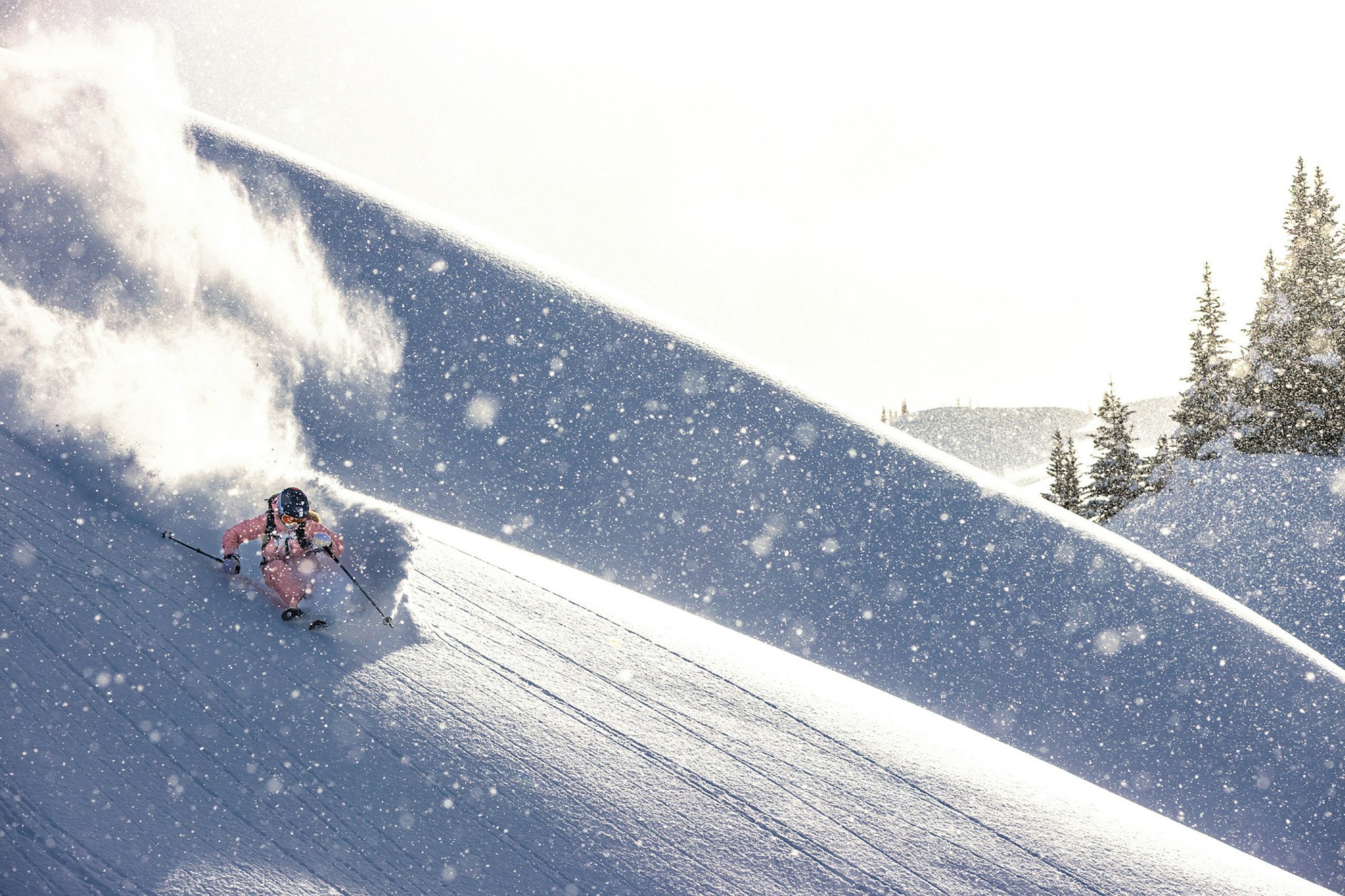 skier in Birtish Columbia