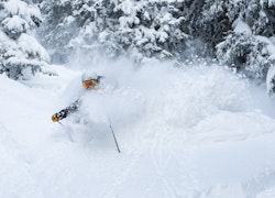 The Best Powder Skis of 2026