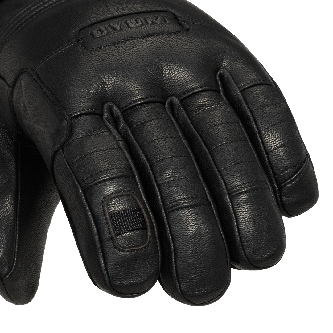 Arashi Guide Gore-Tex Mitt 