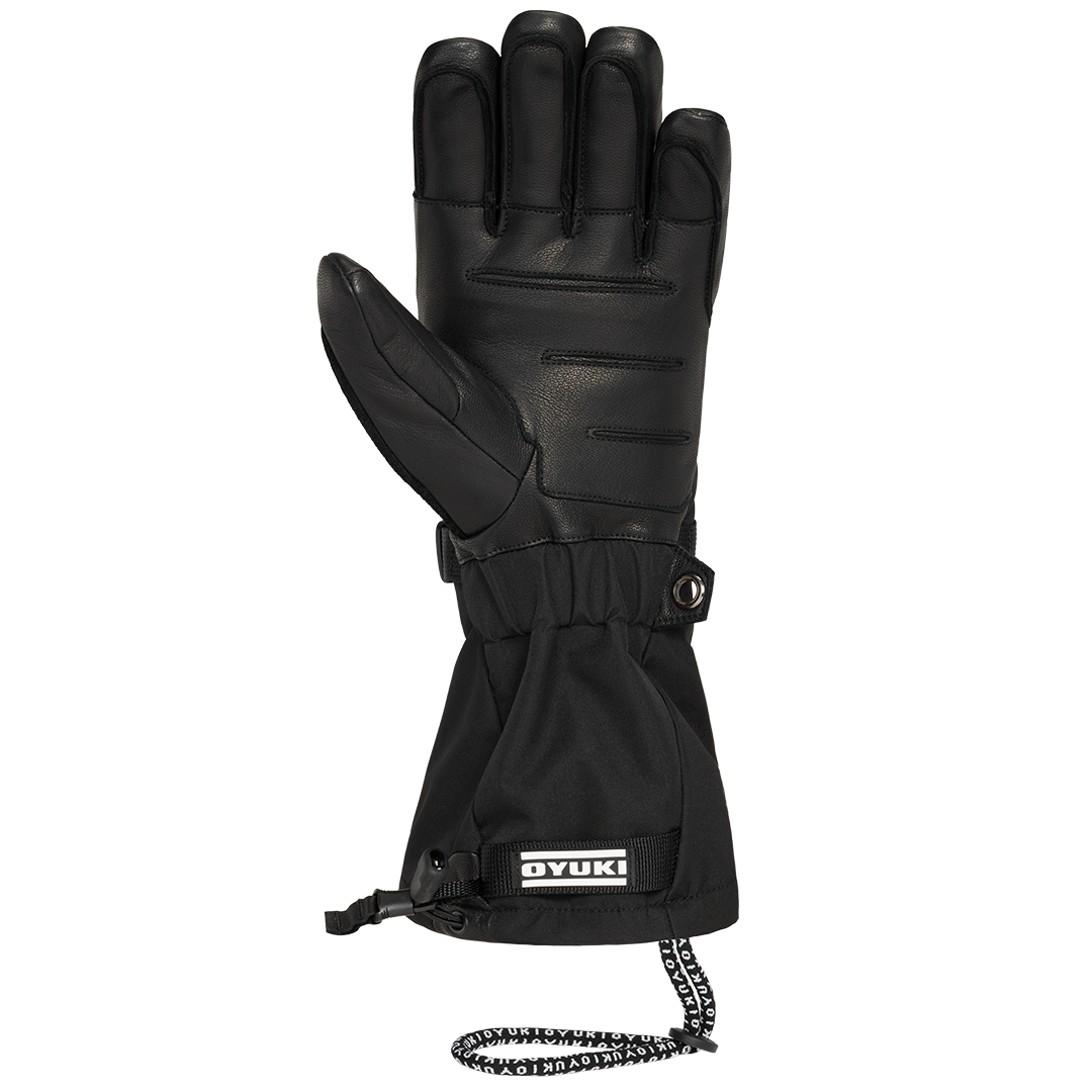 Arashi Guide Gore-Tex Mitt 