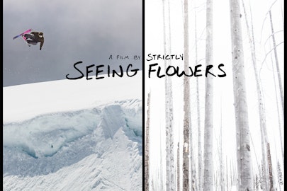 Jonah Williams and Andrew Mildenberger are "Seeing Flowers"