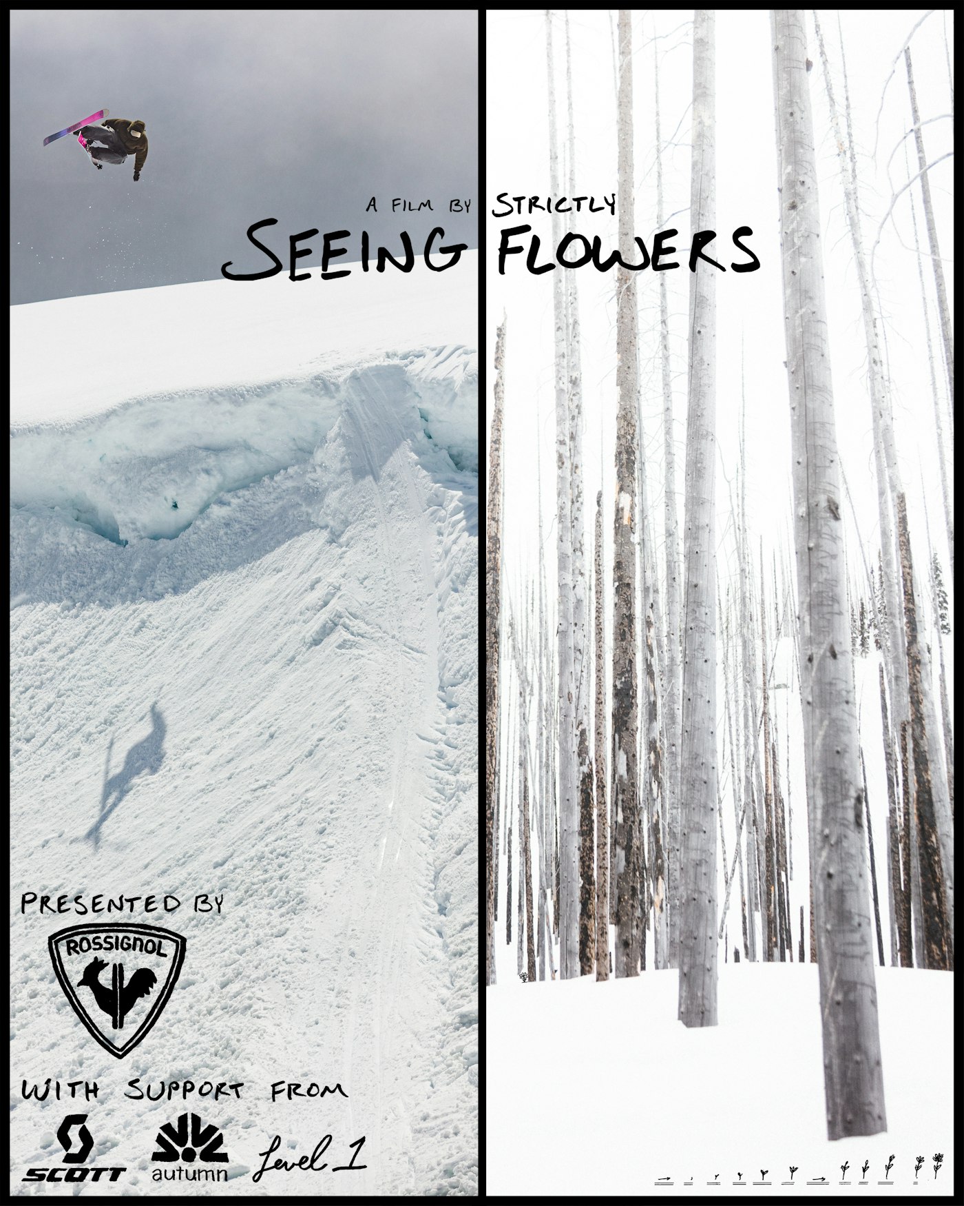 Jonah Williams seeing flowers