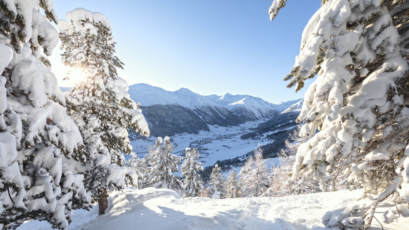 2026 Winter Olympics