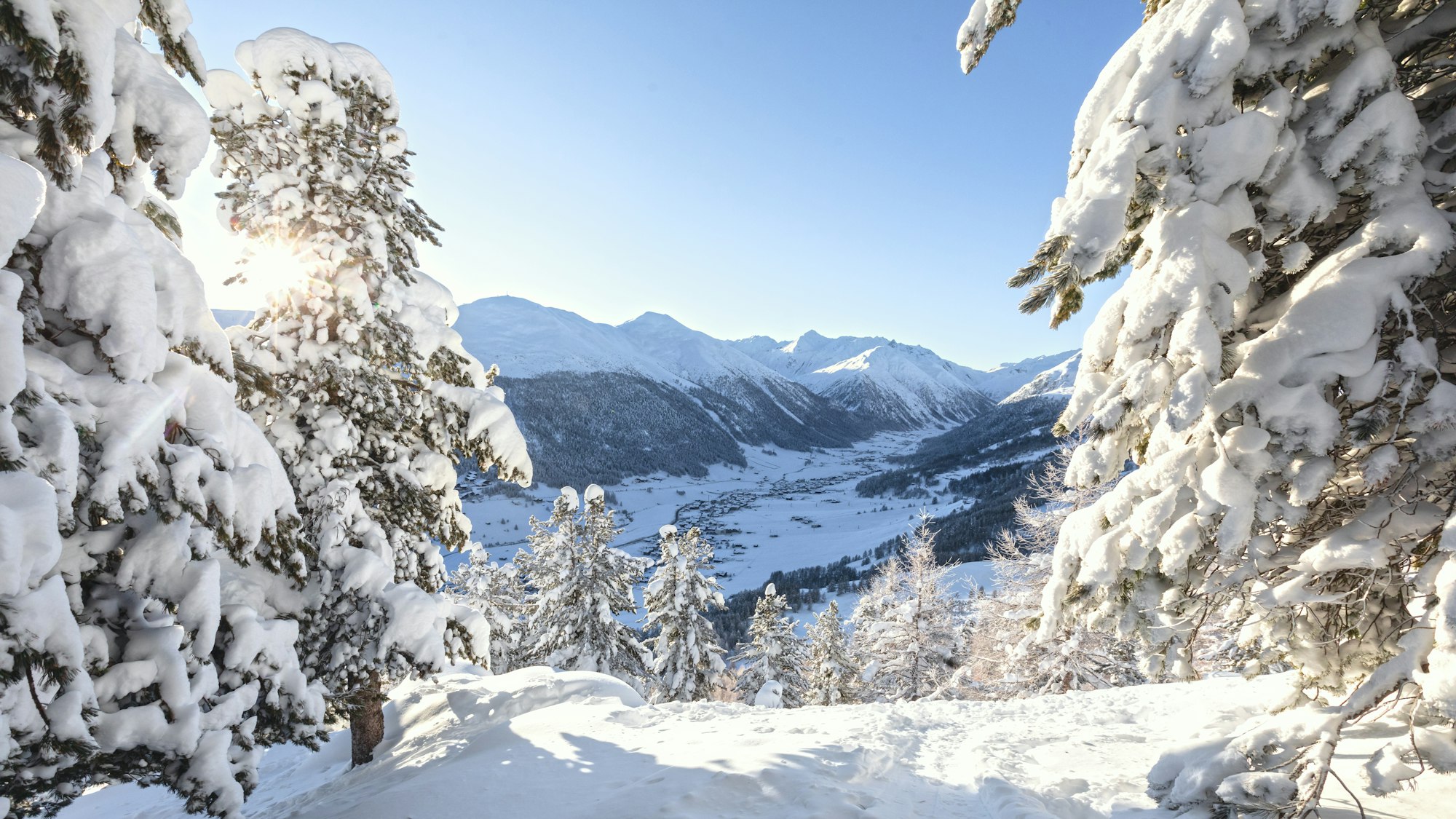 2026 Winter Olympics