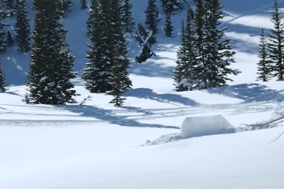 Entourage is Aging like Fine Wine with new Film " Too True"