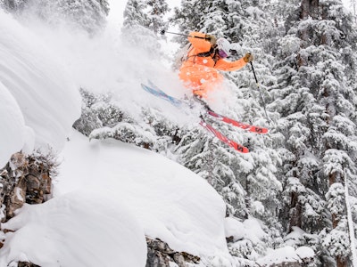 FREESKIER's Favorite Arva Backcountry Gear of 2026