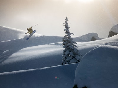 Home Grown - The Famous Potatoes Crew Does it Their Own Way