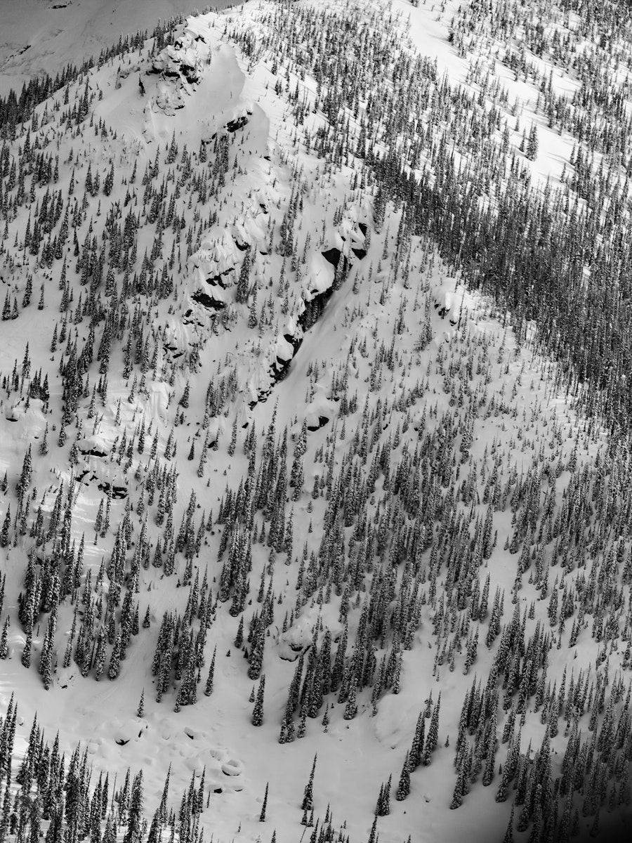 Famous Potatoes Skiing