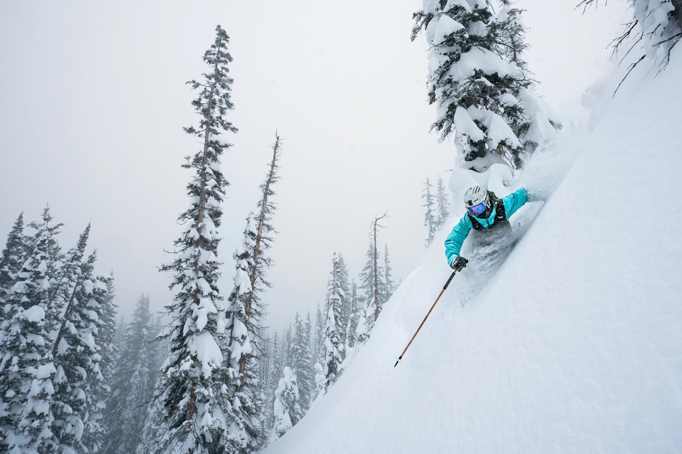 Steamboat Tree Skiing