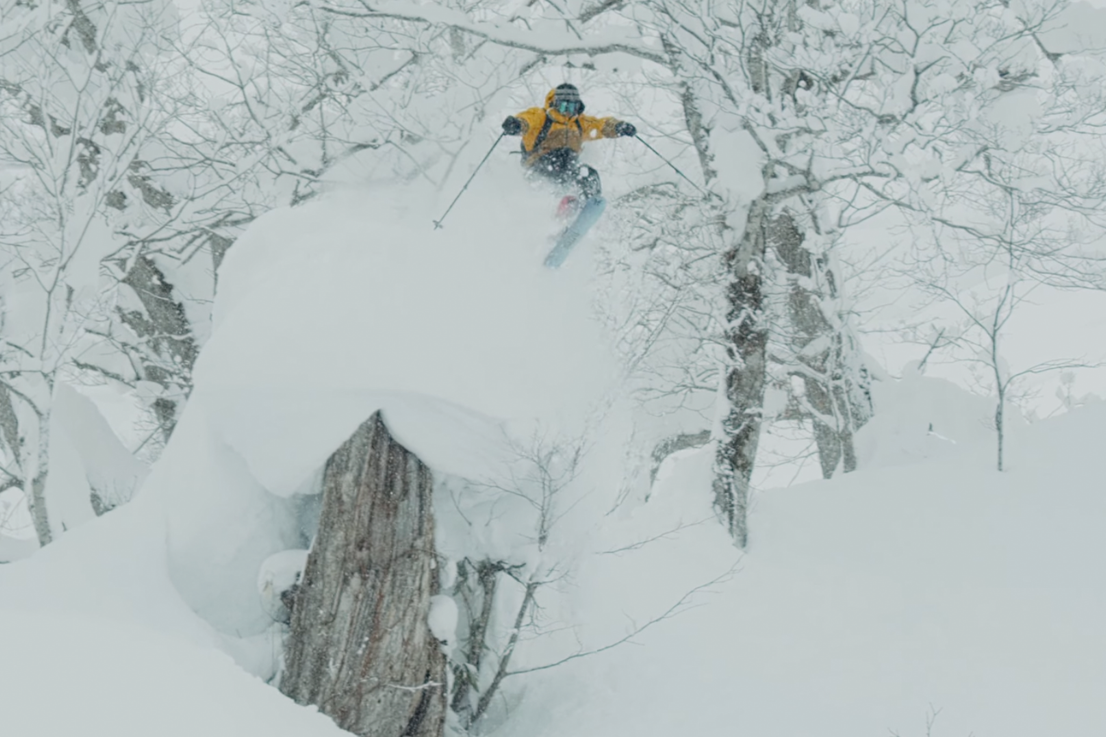 Koga Hoshino Finds Japow in "TASK" 