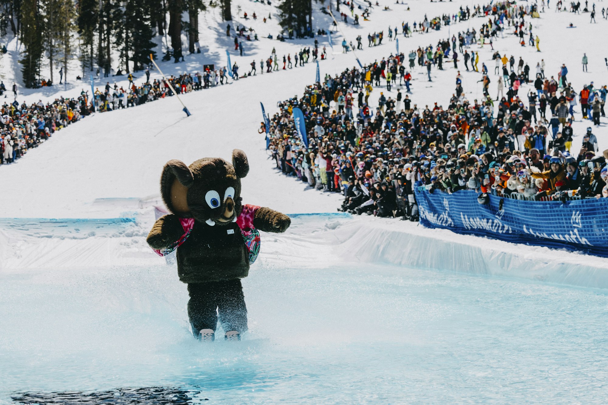 Wooly Mammoth Pond Skim