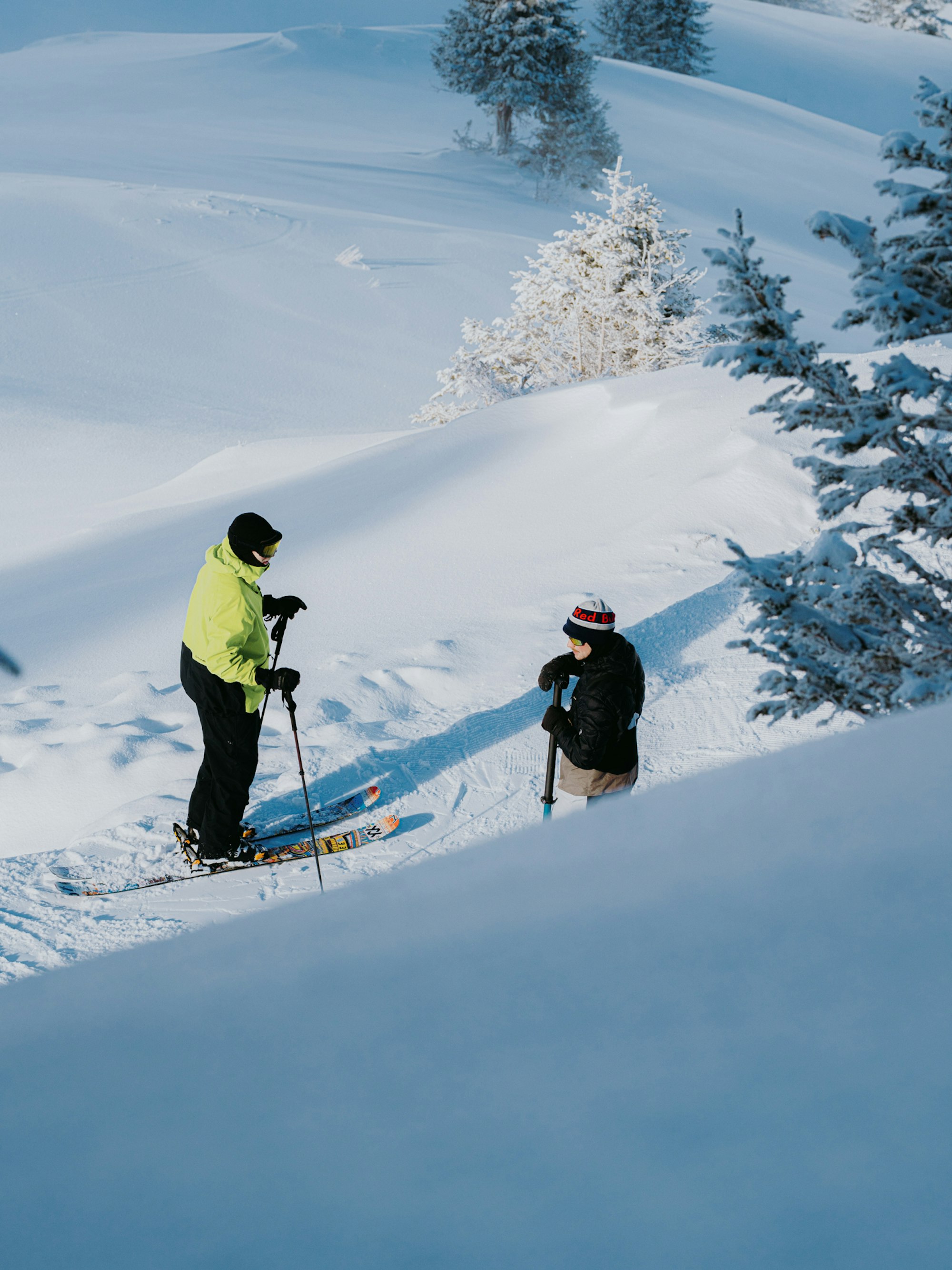 Legs of Steel Freeskiing