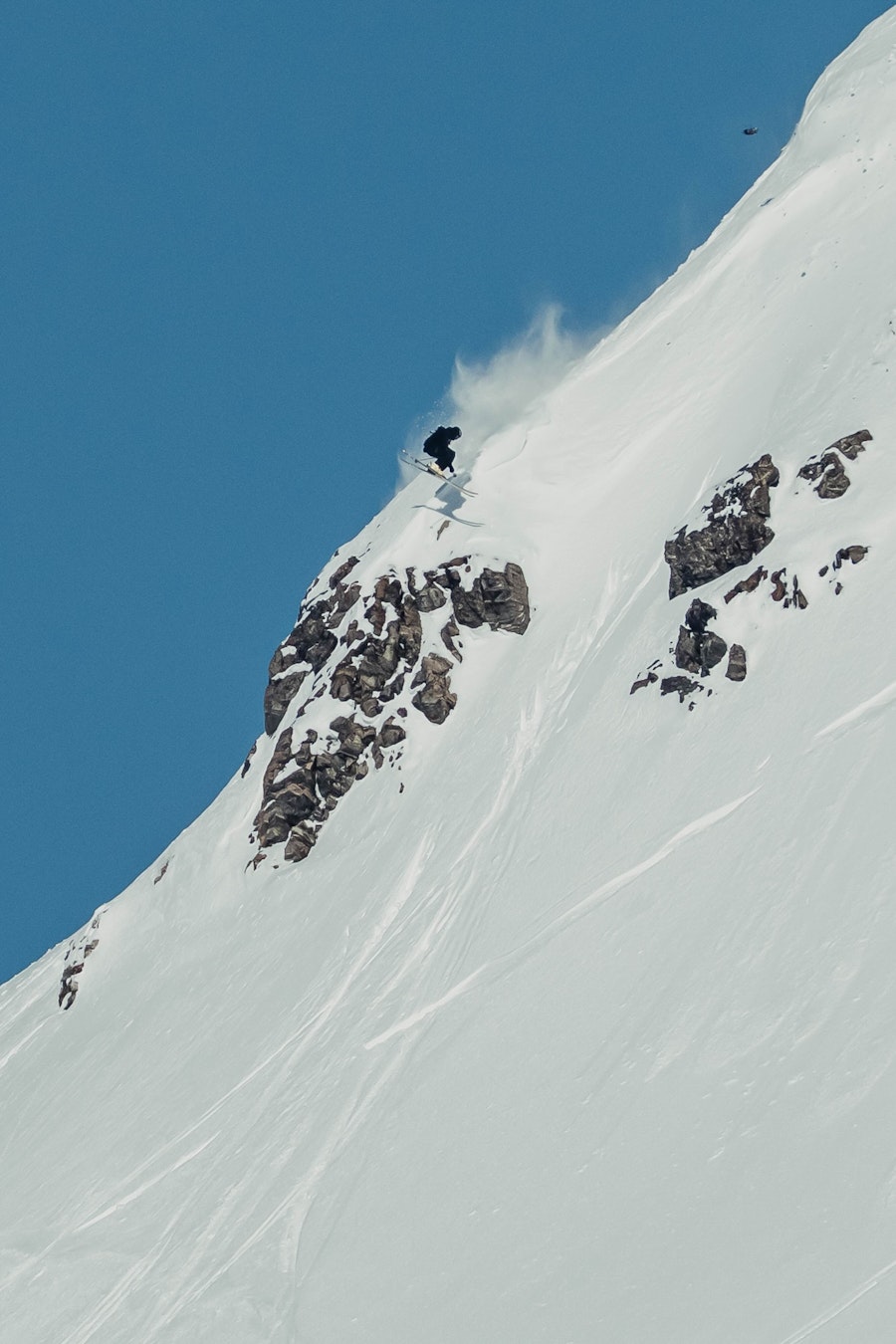 natural selection ski 2026