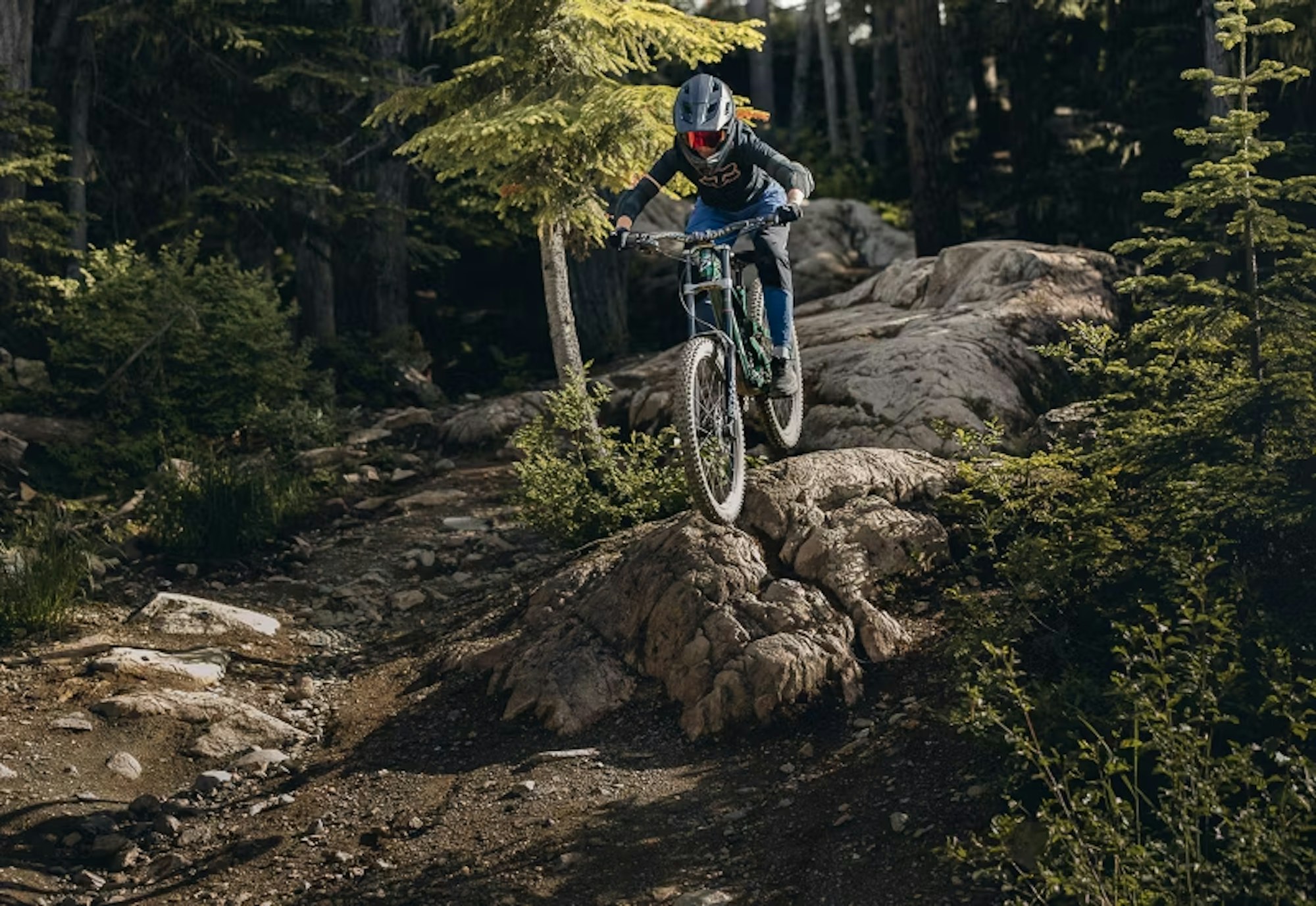 Best Ski Resorts for Mountain Biking