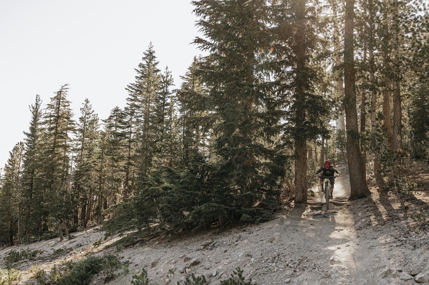 Bike Park Opening Dates