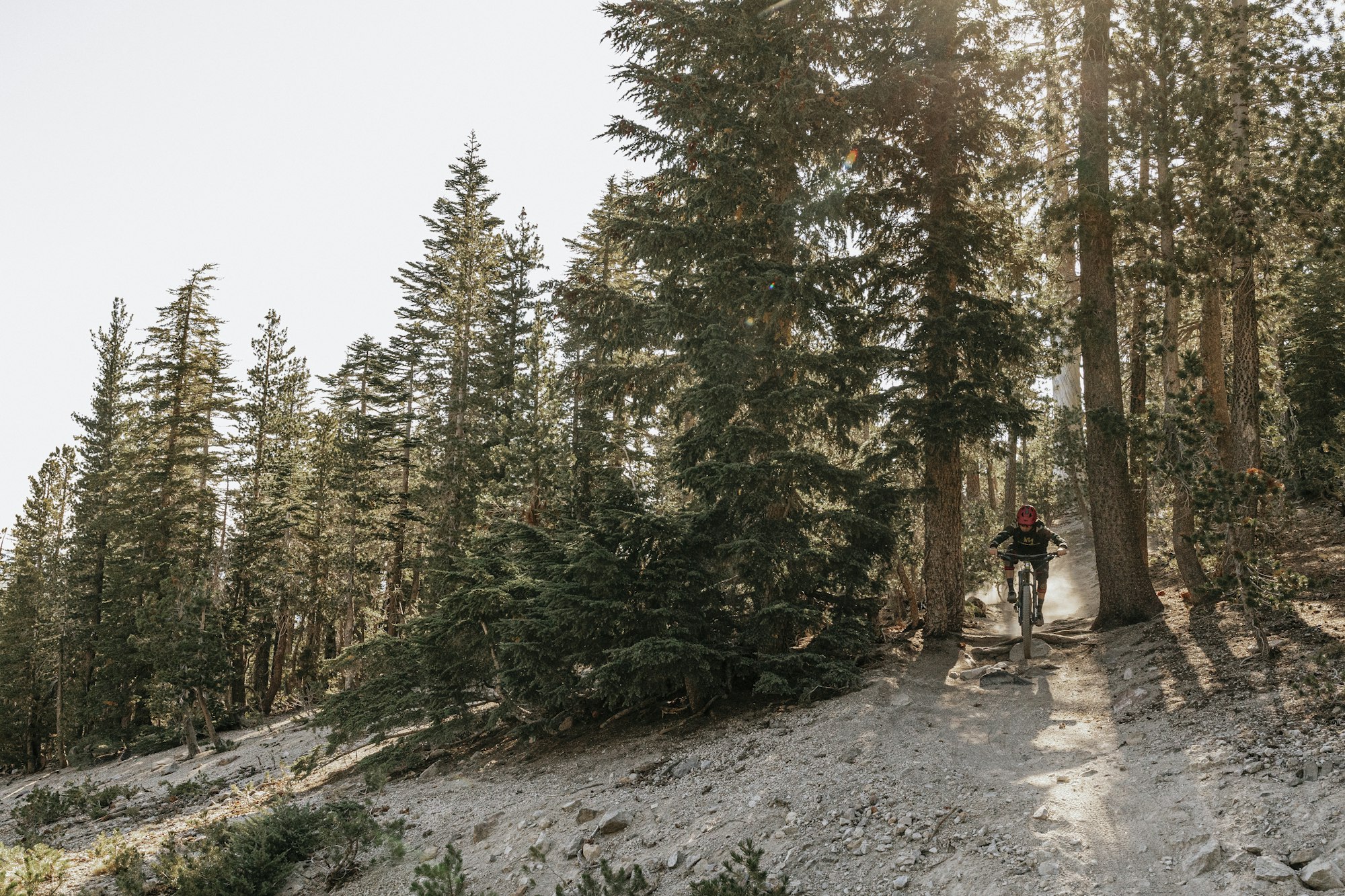 Bike Park Opening Dates