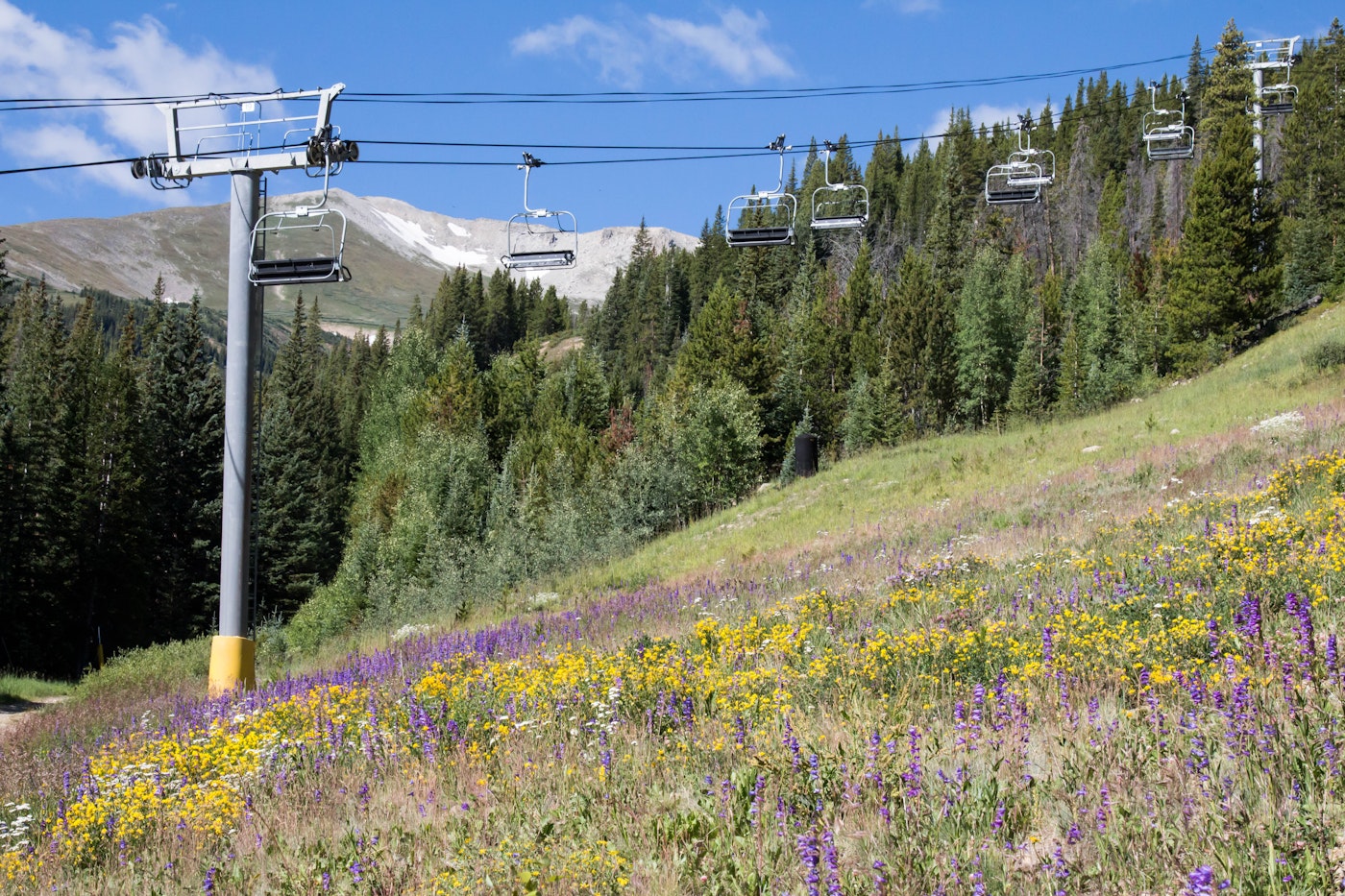 Lift with wildflowers underneath at Breckenridge Ski Resort.