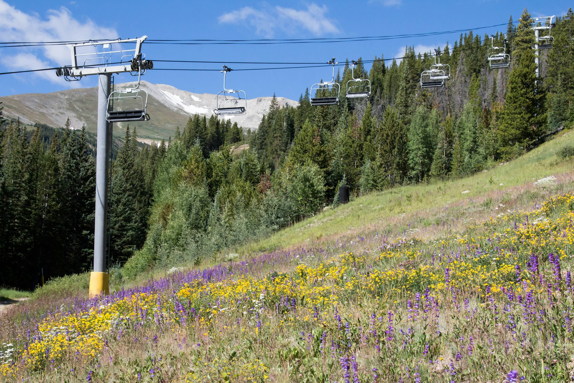 Lift with wildflowers underneath at Breckenridge Ski Resort.