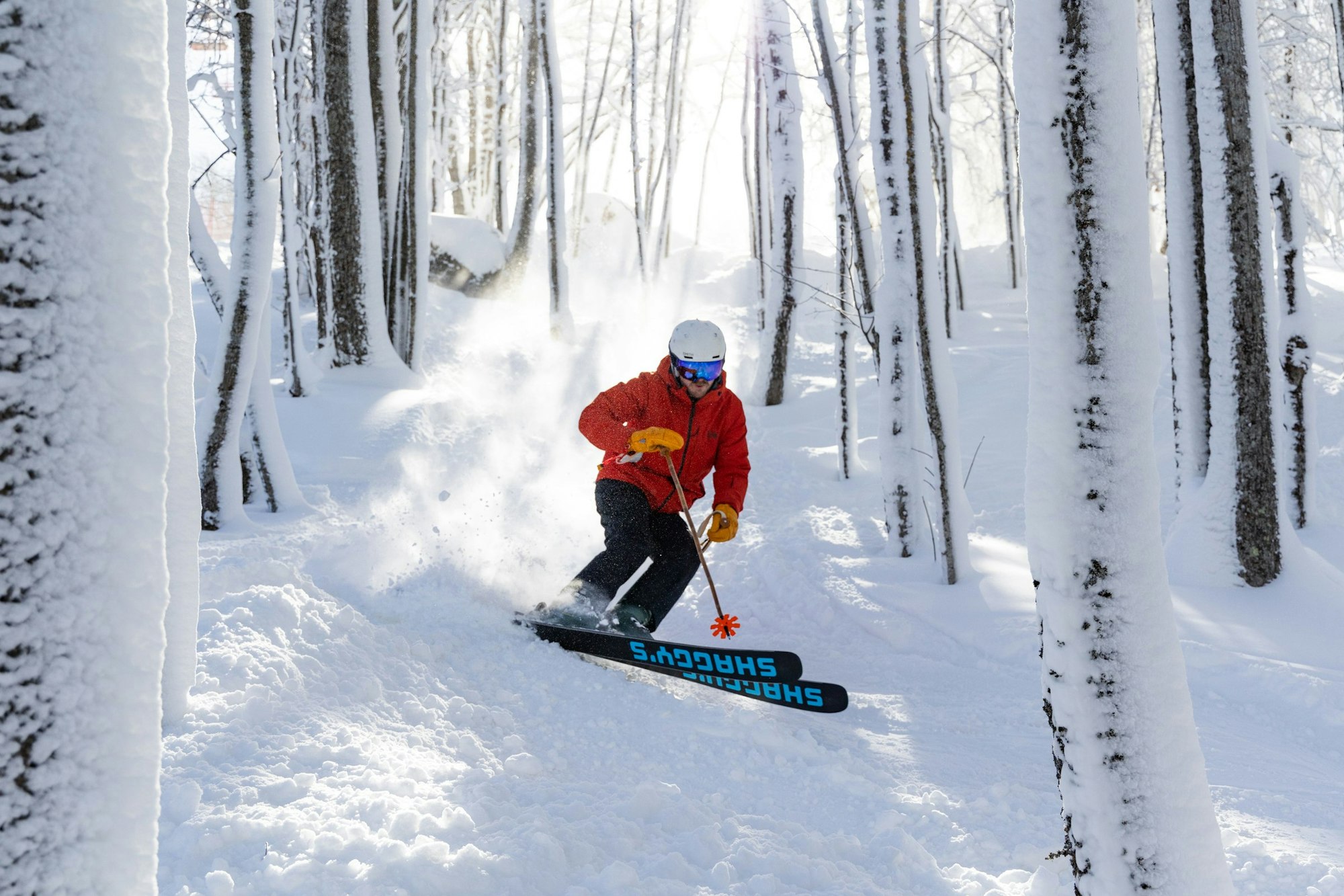 Skier cruising through Michigan's forests at Snowriver Resort.