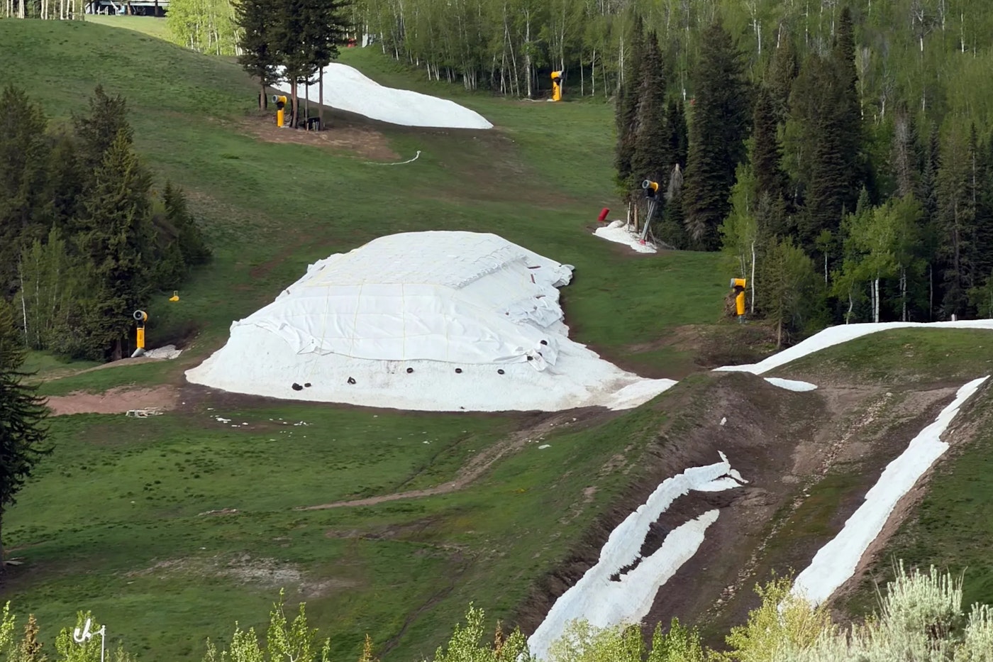 aspen snowmass