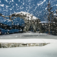 Mammoth Announces Opening Day for 2026/27 Ski Season