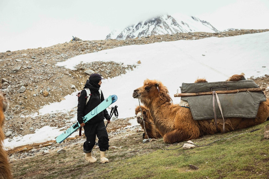 Faction Skis