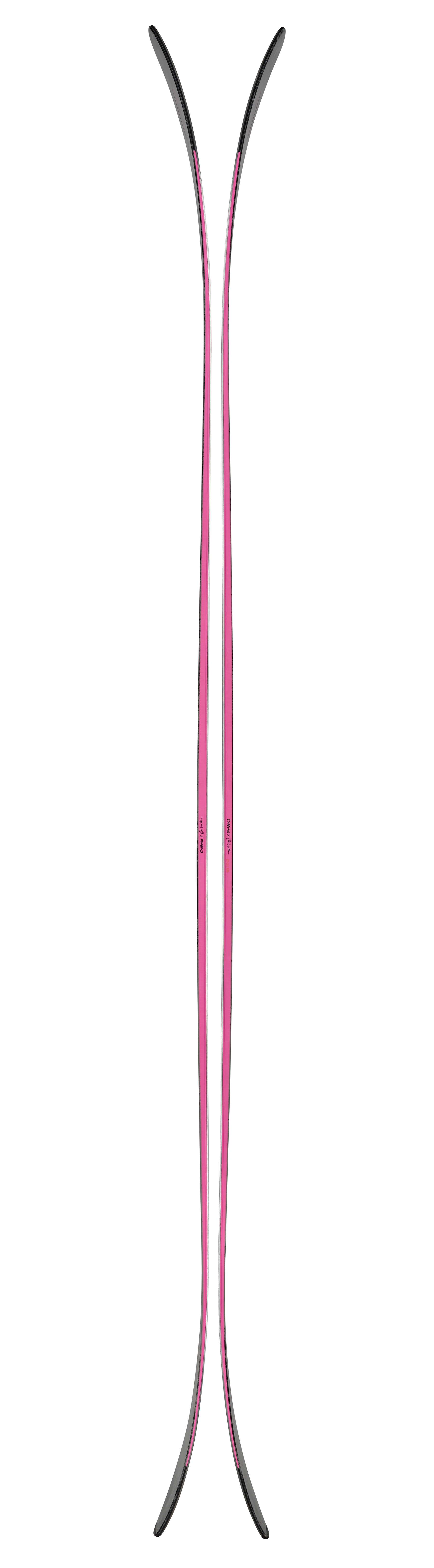 Canvas 118