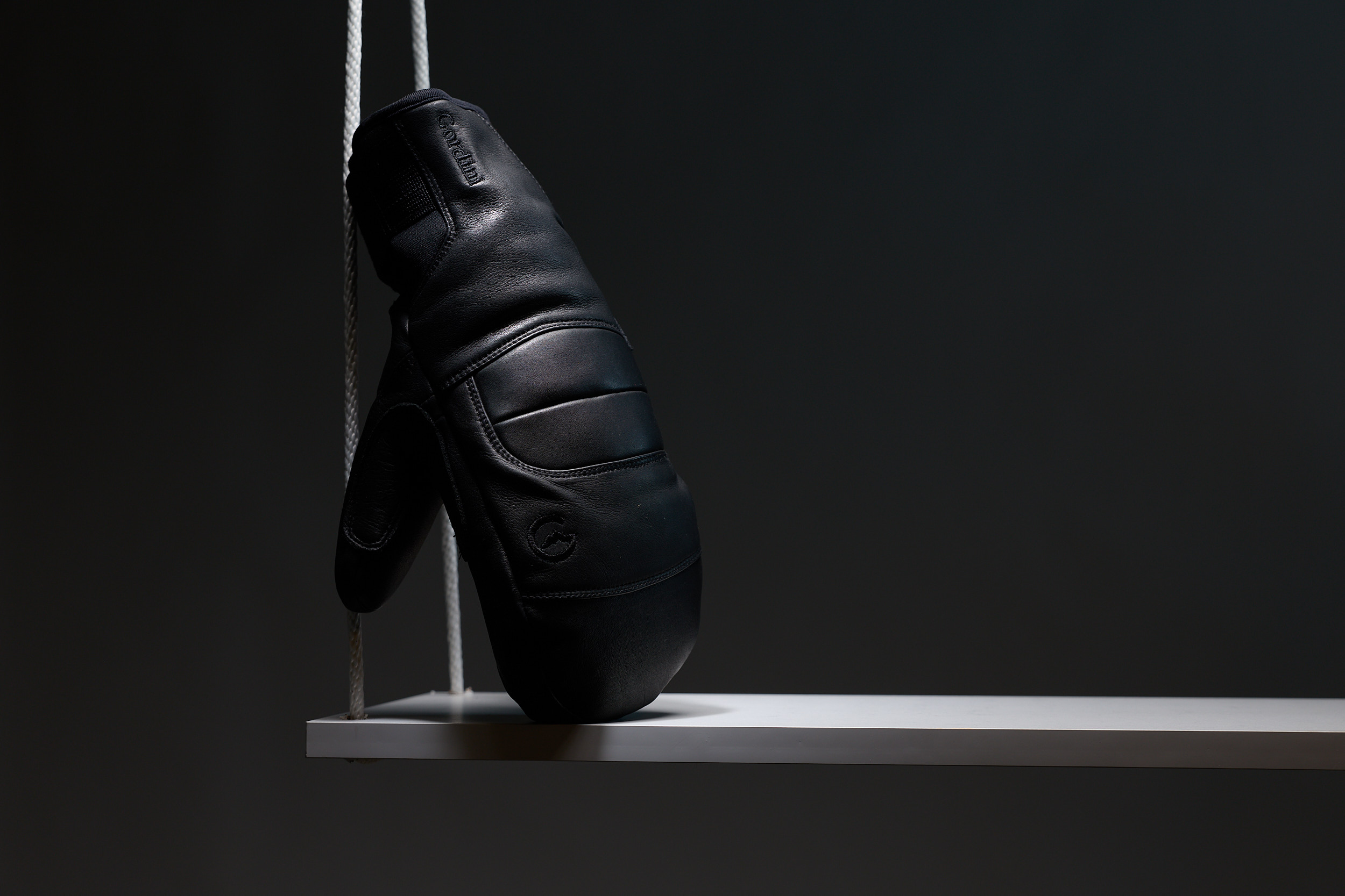 Alpine Pro Mitt