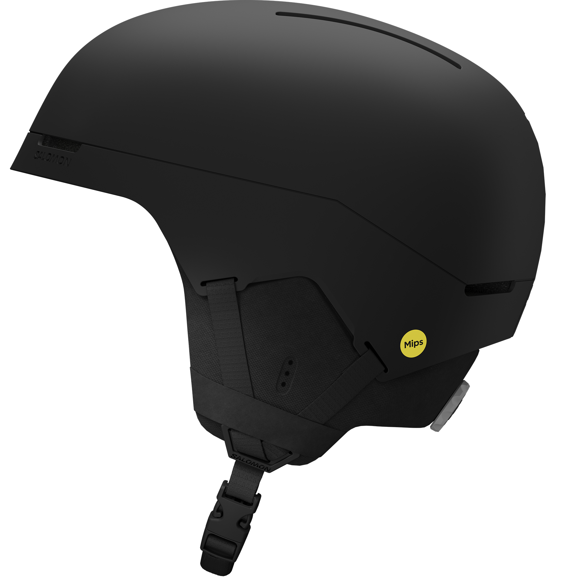 Brigade Index MIPS