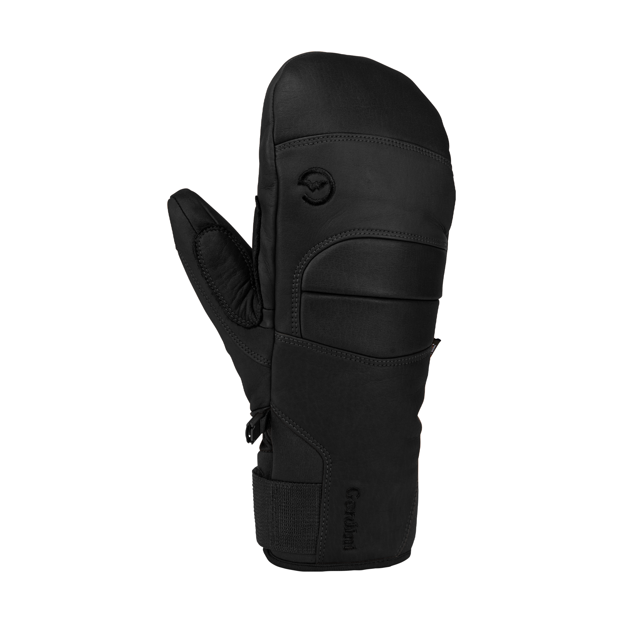 Alpine Pro Mitt