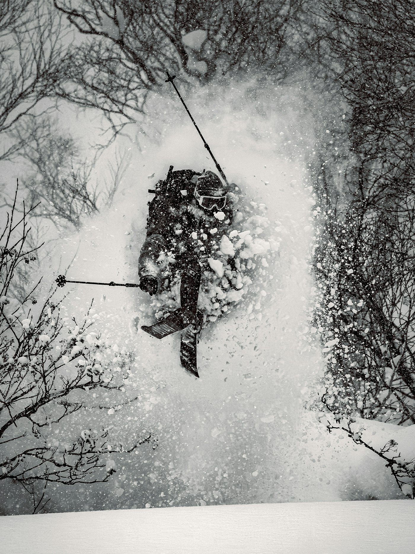 Armada Skis