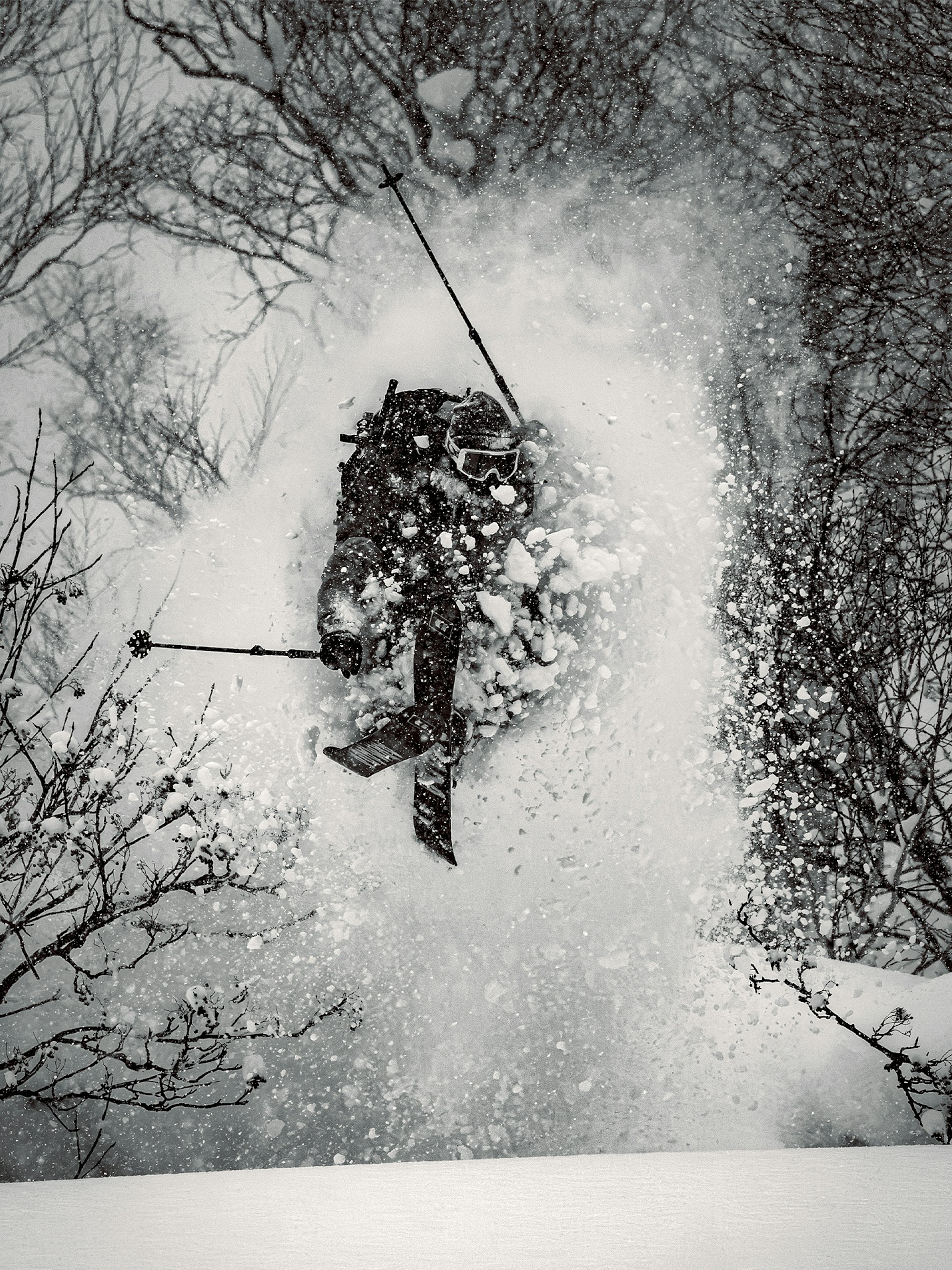 Armada Skis