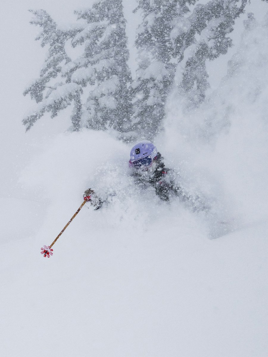 Blizzard Canvas