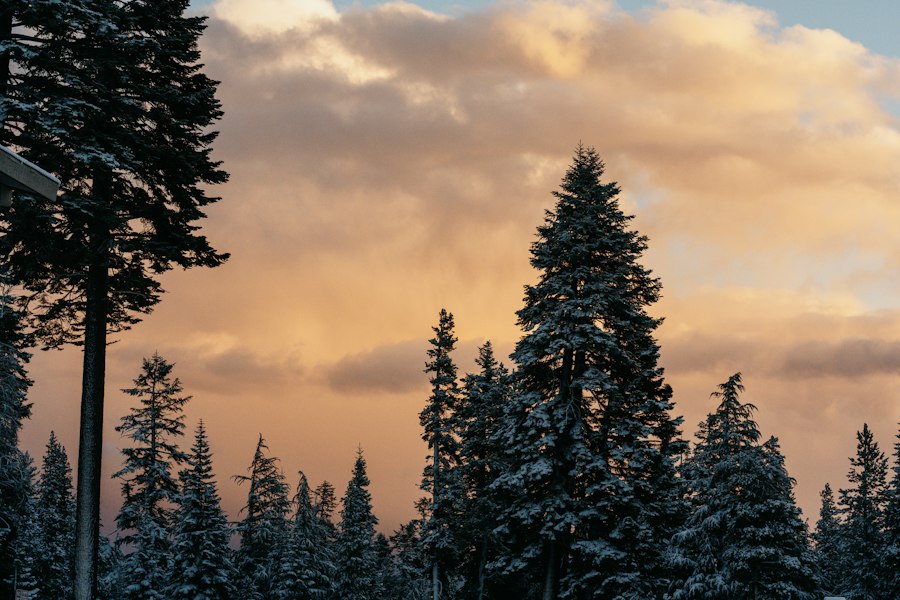 Fall Snow at Mammoth Mountain, California