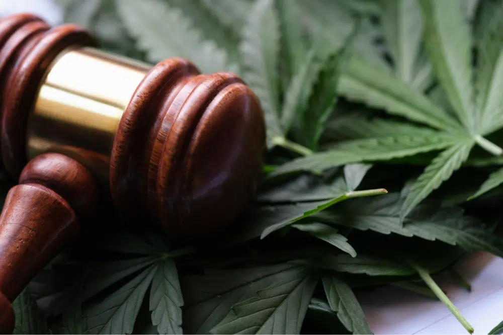 HR Advice: Creating a Cannabis Policy for Your Workplace
