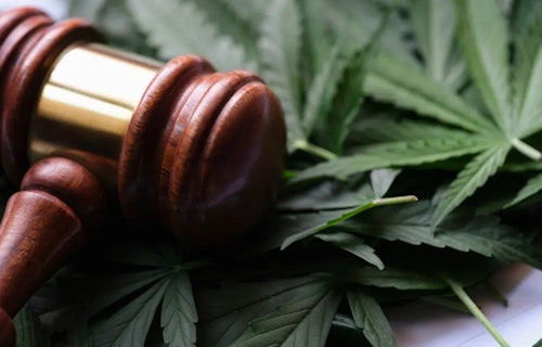 HR Advice: Creating a Cannabis Policy for Your Workplace