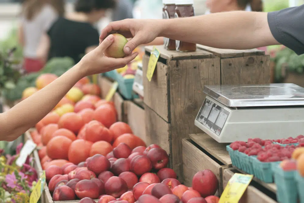minimum-wage-in-new-brunswick-2022-an-employers-reference