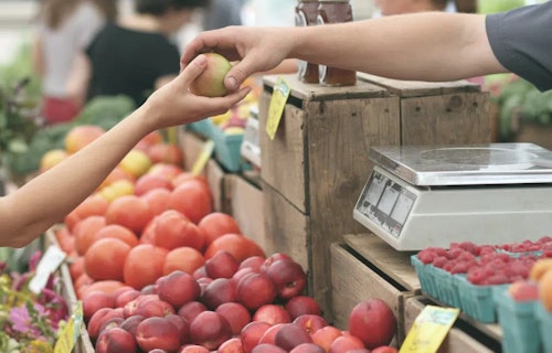 minimum-wage-in-new-brunswick-2022-an-employers-reference