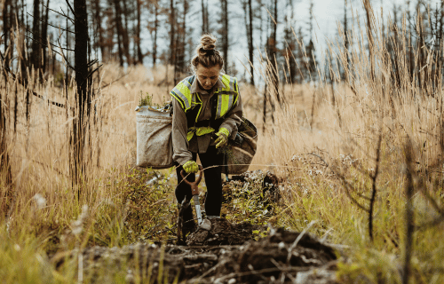 woman working in the forest